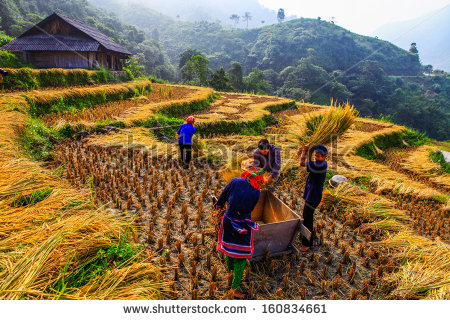 Developing Country Stock Photos Images   Pictures   Shutterstock