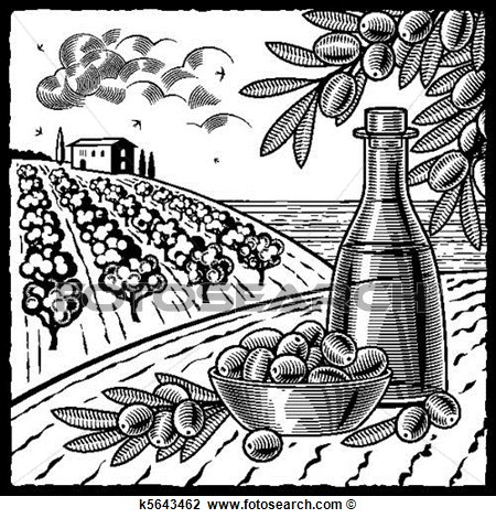 Olive Harvest Black And White View Large Clip Art Graphic