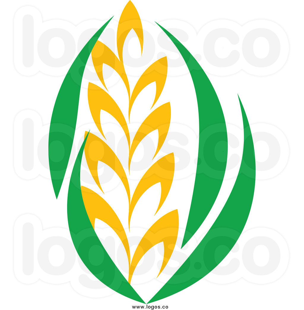 Barley Clipart Royalty Free Clip Art Vector Strand Of Wheat And Green