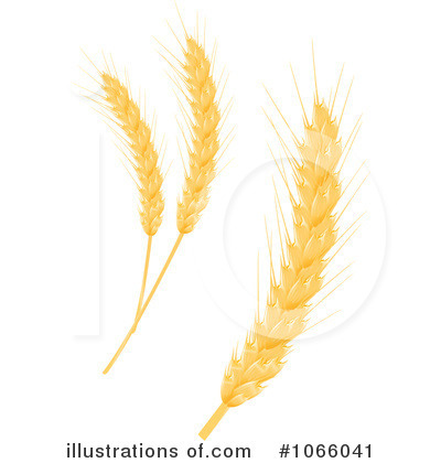 Clipart Barley Wheat Clipart Illustration