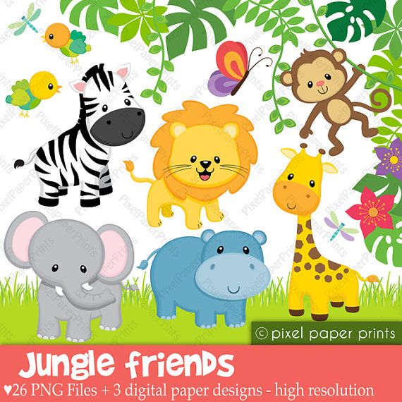 Jungle Animals Clipart Baby Safari Animals Clip Art Baby Jungle