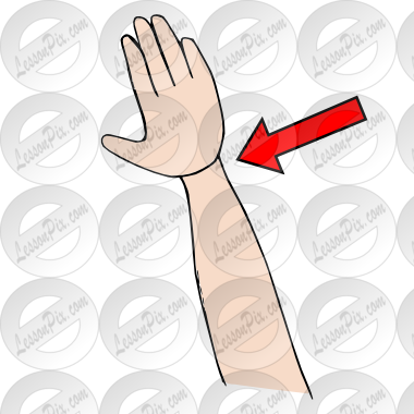 Wrist Picture For Classroom   Therapy Use   Great Wrist Clipart