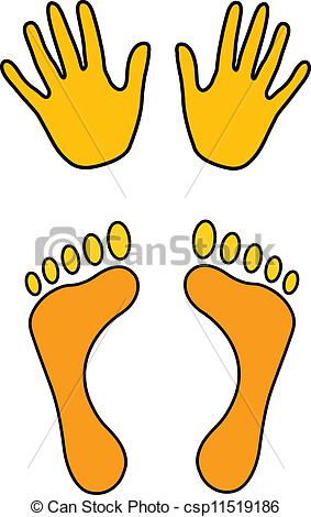 Vector   Hands And Feet   Stock Illustration Royalty Free
