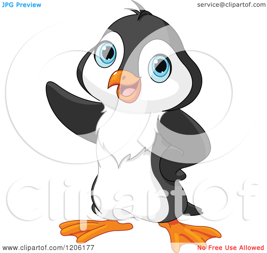 Cute Baby Penguin Pointing   Royalty Free Vector Clipart By Pushkin