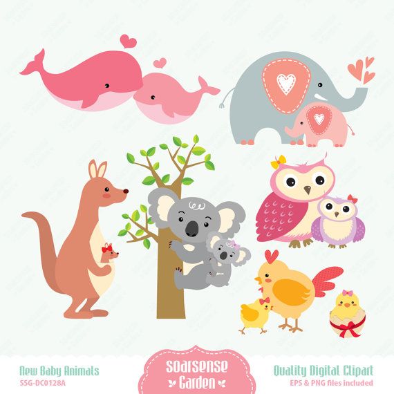New Baby Animals Digital Clipart Baby Animals For Girl By Ssgarden  3