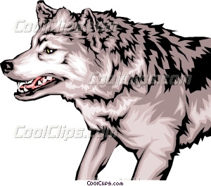 Animal Teeth On Growling Wolf With Mean Vector Clip Art