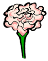 Carnation Clipart