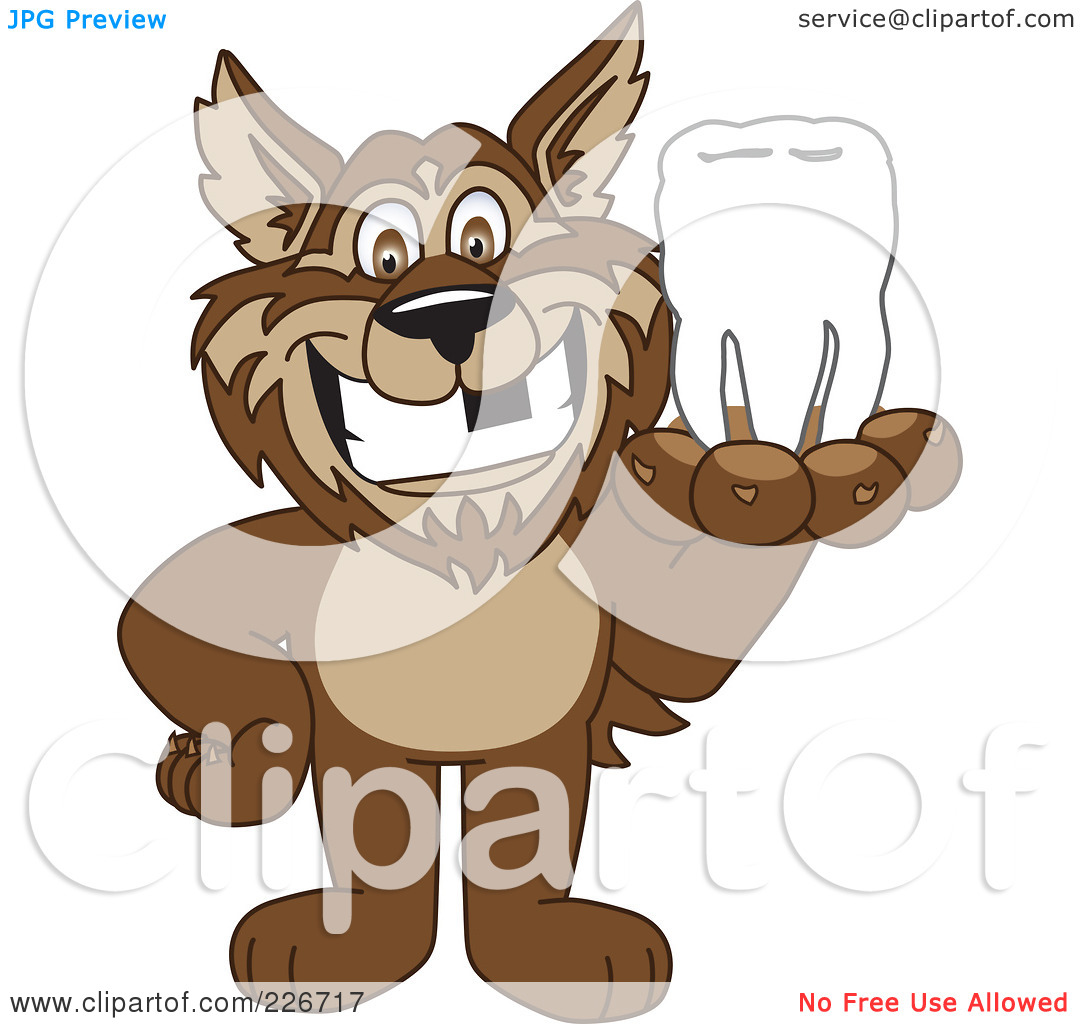 Free  Rf  Clipart Illustration Of A Wolf School Mascot Holding A Tooth