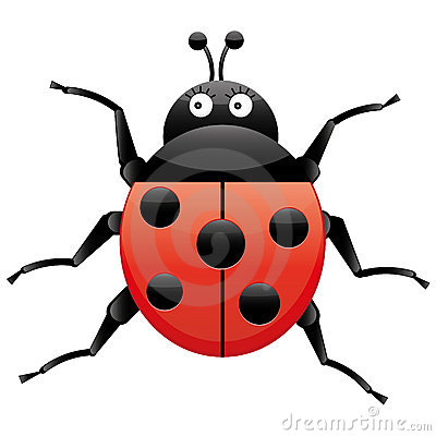 Funny Ladybug Looking Left Cartoon Character Isolated On White