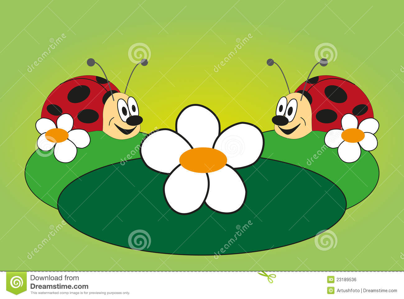 Funny Picture Of Two Ladybug Royalty Free Stock Image   Image