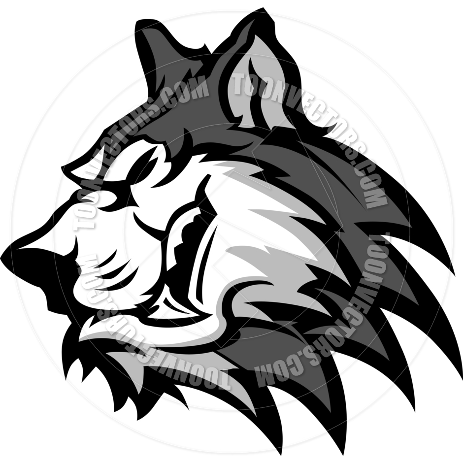 Husky Or Wolf Mascot Vector Graphic By Chromaco   Toon Vectors Eps