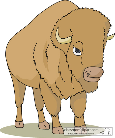 Buffalo Clipart   Bison Animal Clipart 1713   Classroom Clipart