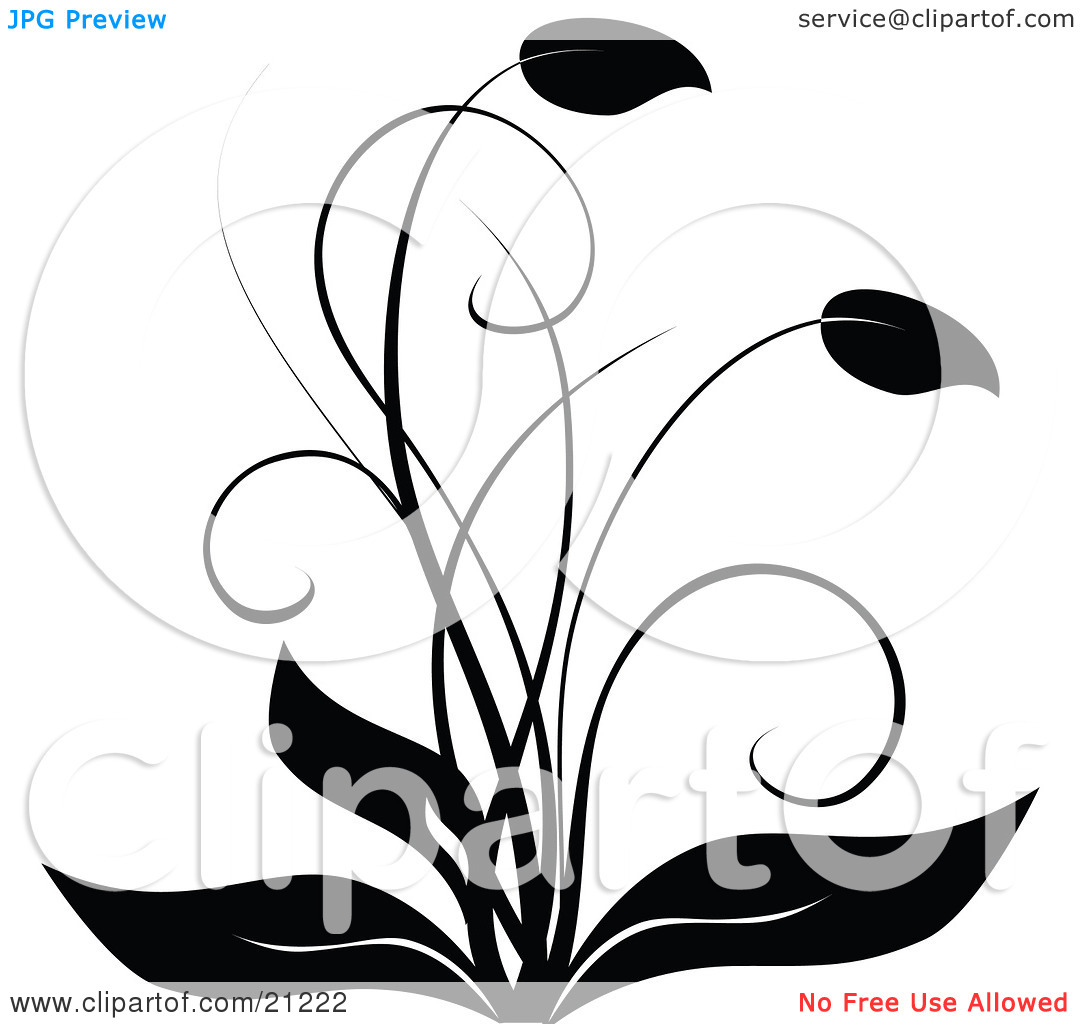 Clipart Illustration Of An Elegant Black And White Flourish Flowering