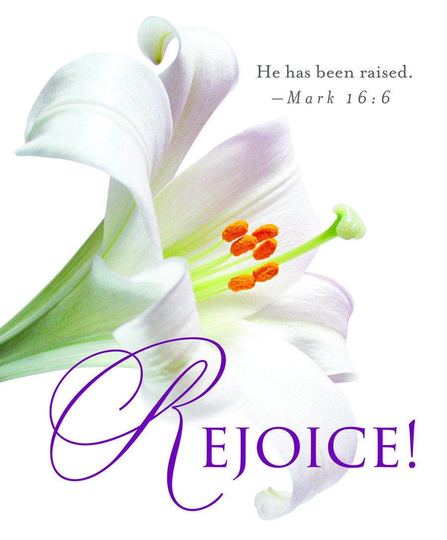 Rejoice  Easter Lilies Bulletin Large   Cross Way Christian Supply
