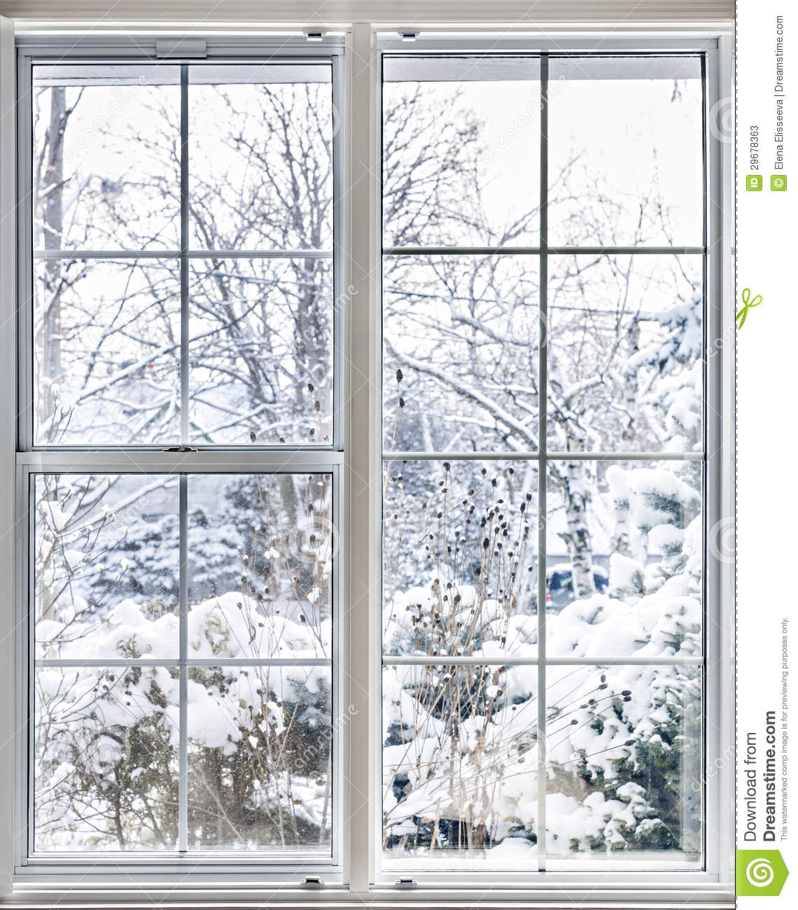 Vinyl Insulated Windows With Winter View Of Snowy Trees And Plants