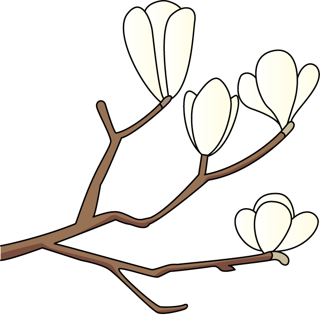 15 Magnolia Flower Frees That You Can Download To Clipart