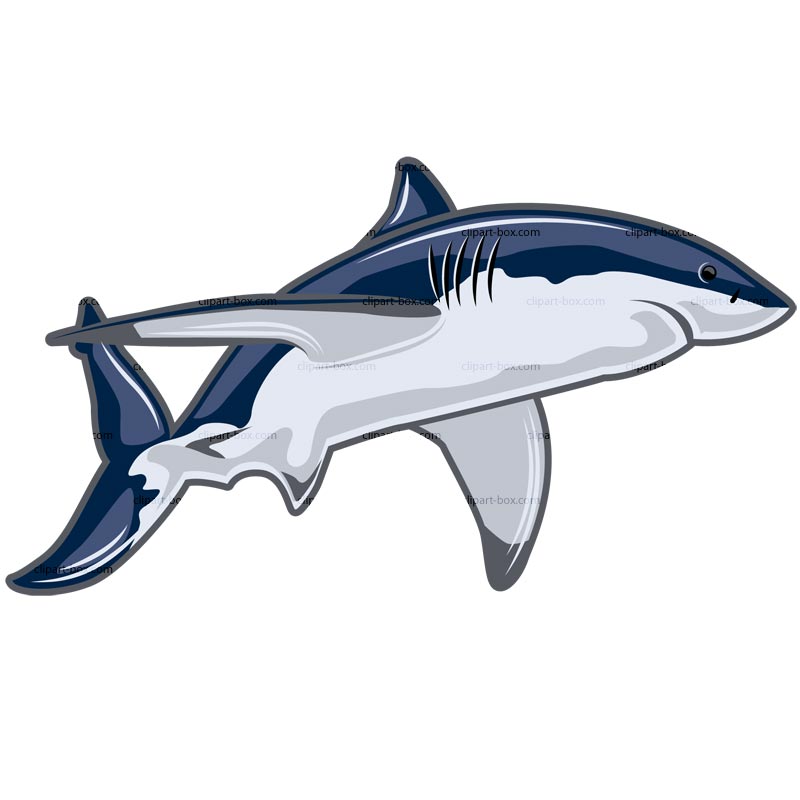 Clipart Shark   Royalty Free Vector Design