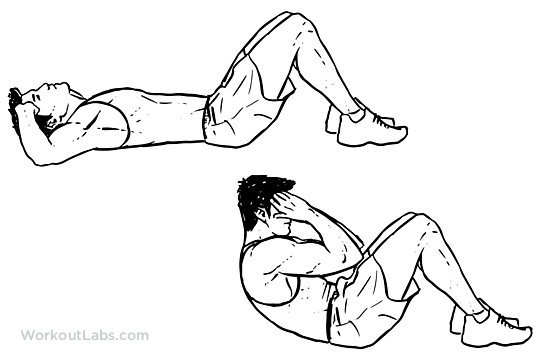 Sit Ups   Illustrated Exercise Guide   Workoutlabs