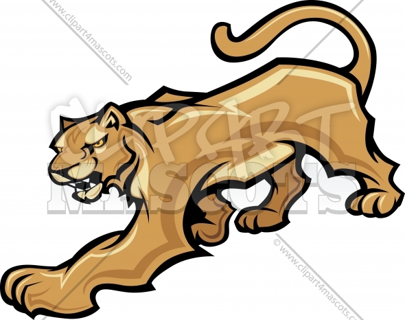 Back   Gallery For   Mountain Lion Face Clip Art