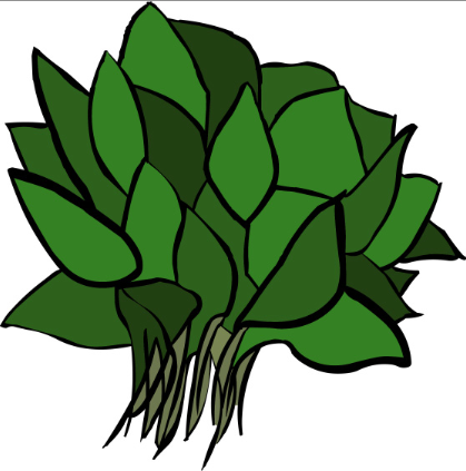Go Back   Gallery For   Spinach Clip Art