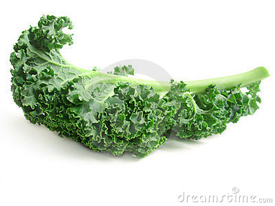 Kale Clip Art Curly Kale Leaves 13012279 Jpg