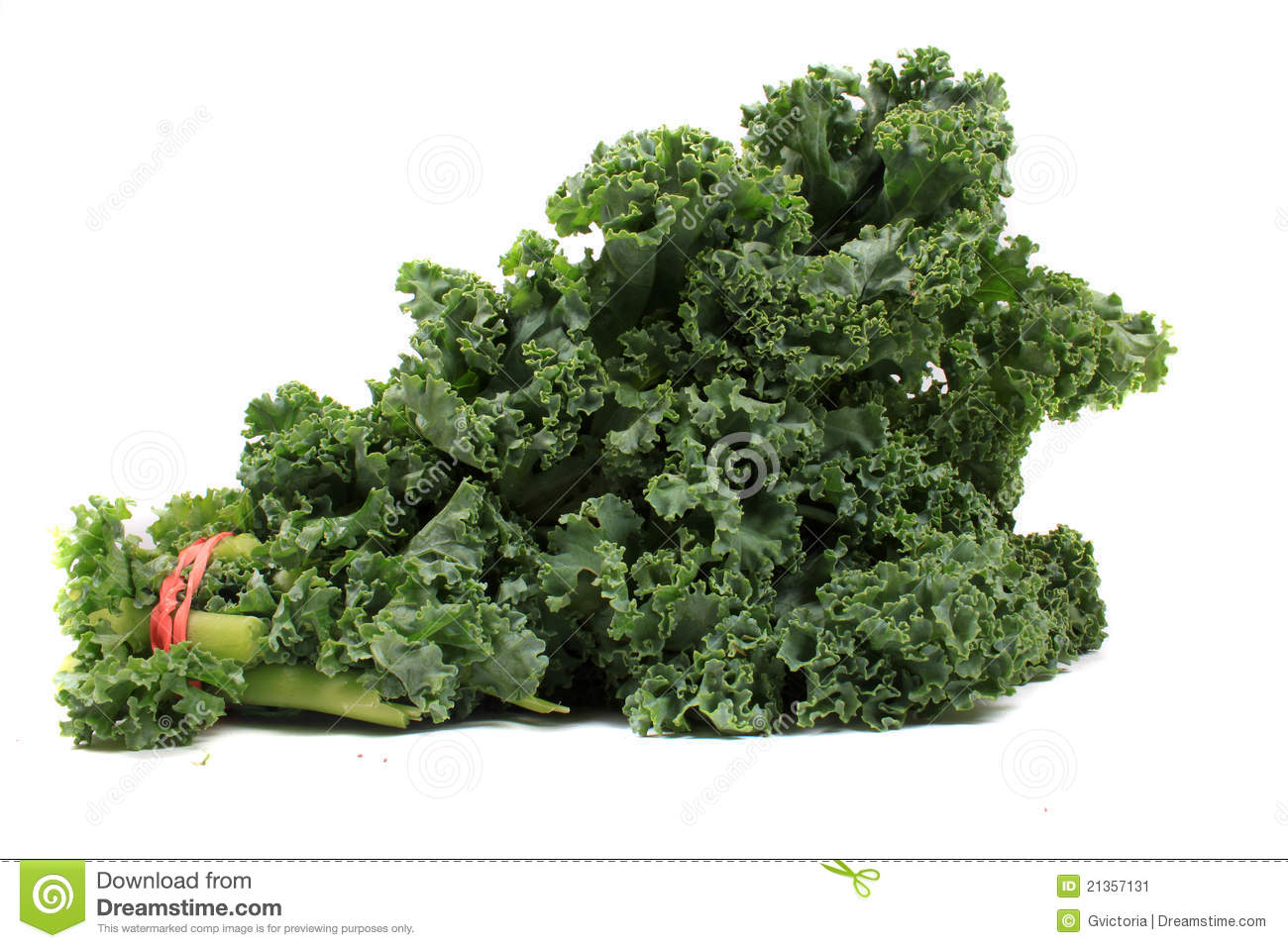 Kale Clip Art Fresh Leafy Kale