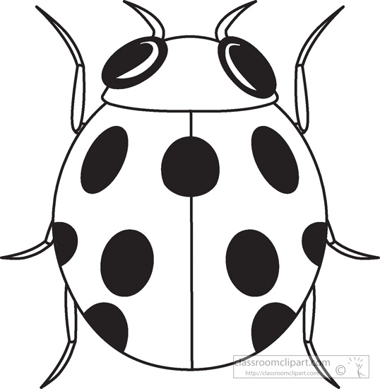 Animals   Ladybug Insects Black White Outline 984   Classroom Clipart