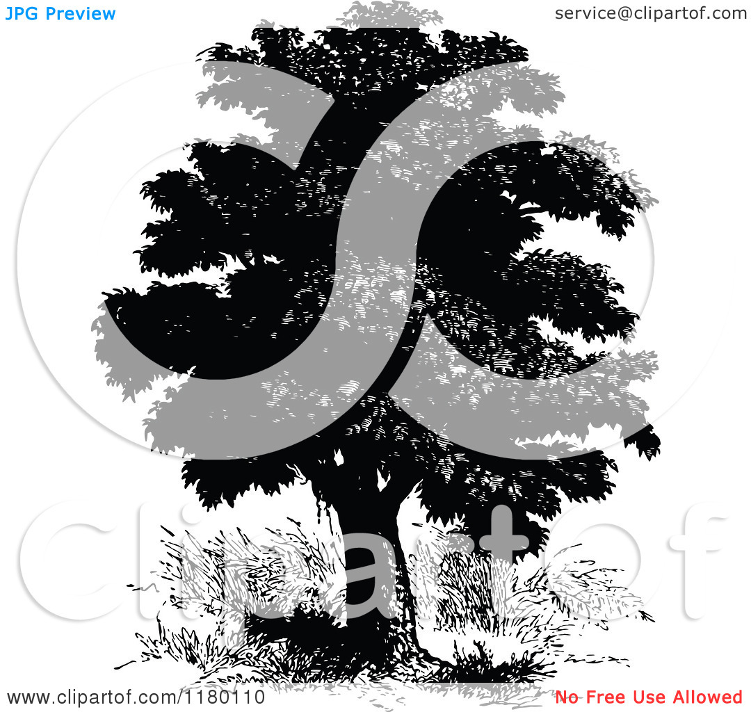 Clipart Of A Retro Vintage Black And White Bread Fruit Tree Royalty