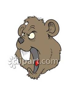 Angry Cartoon Beaver Face   Royalty Free Clipart Picture