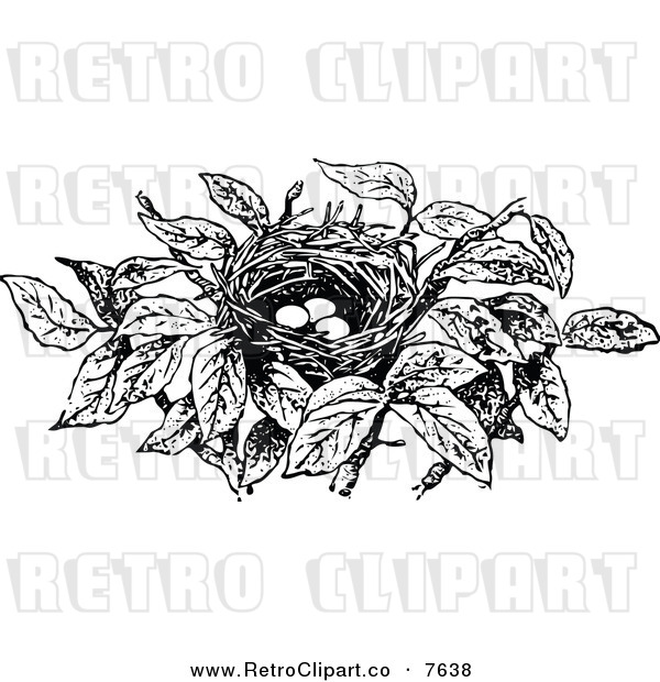 Vector Clipart Of A Retro Black And White Bird Nest With Eggs By