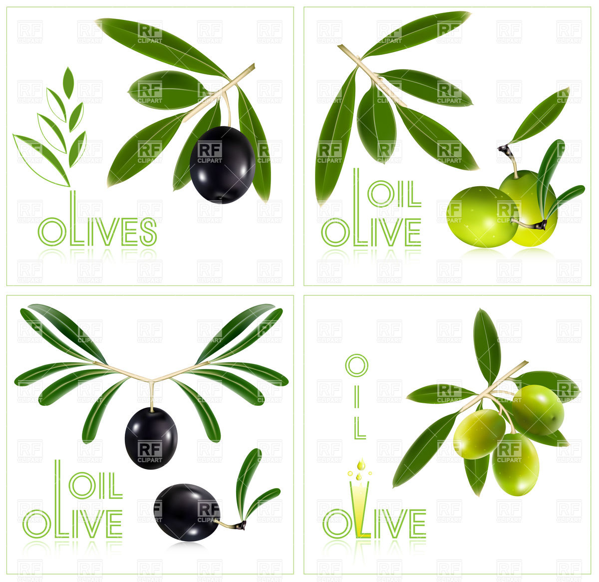 Green And Black Olives With Leaves 5138 Food And Beverages Download
