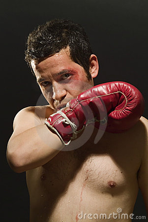 Boxer With Red Gloves And Shorts Shadow Boxing And Posing
