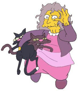 Cat Lady On National Feral Cat Day Let S Eliminate This Negative