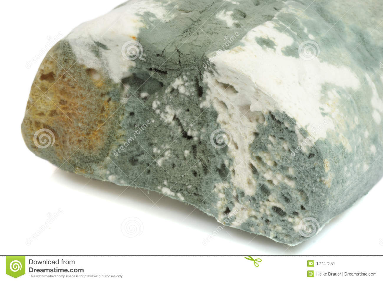 Mold Bread Stock Image   Image  12747251