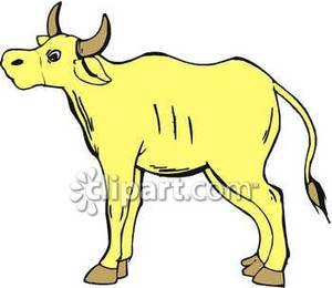 Yellow Cow   Royalty Free Clipart Picture