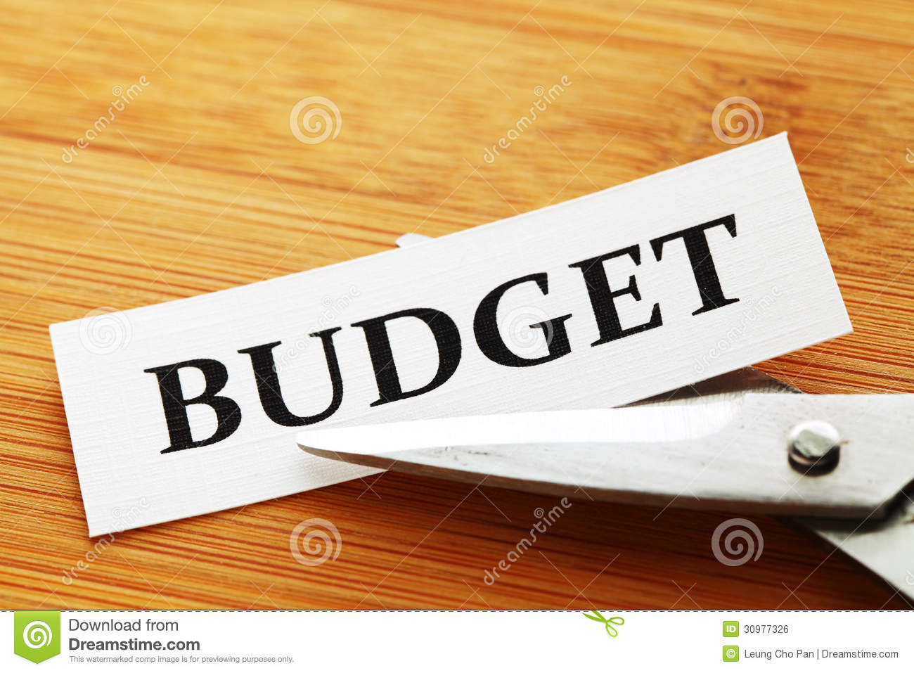 Budget Cut Royalty Free Stock Image   Image  30977326