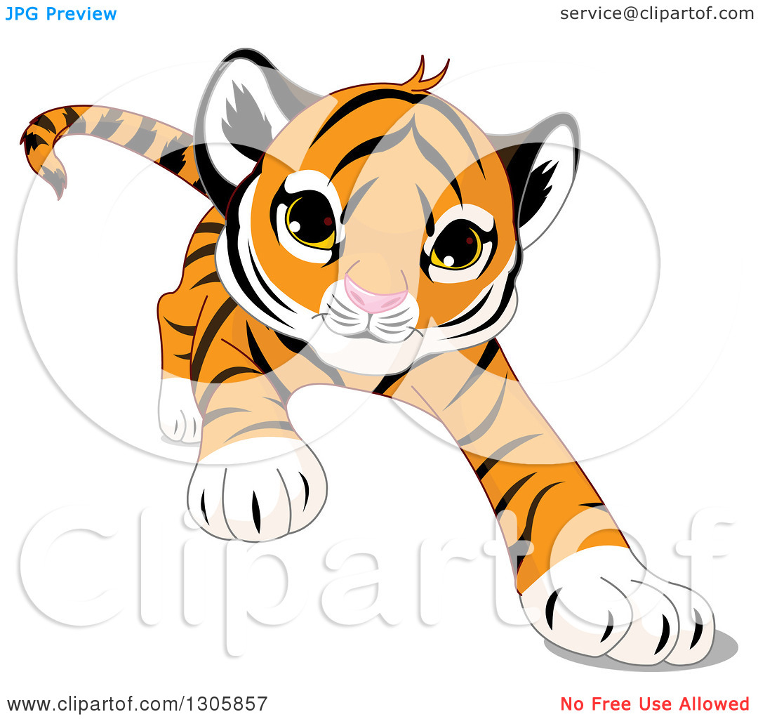 Clipart Of A Cute Playful Tiger Cub Stalking Running Or Pouncing