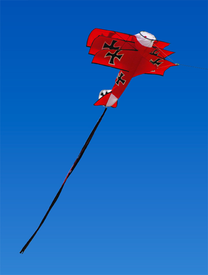 Costco Dragon Kite Image Search Results