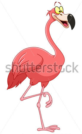 Navegar   Vida Silvestre   De Animales   Flamingo De Dibujos Animados