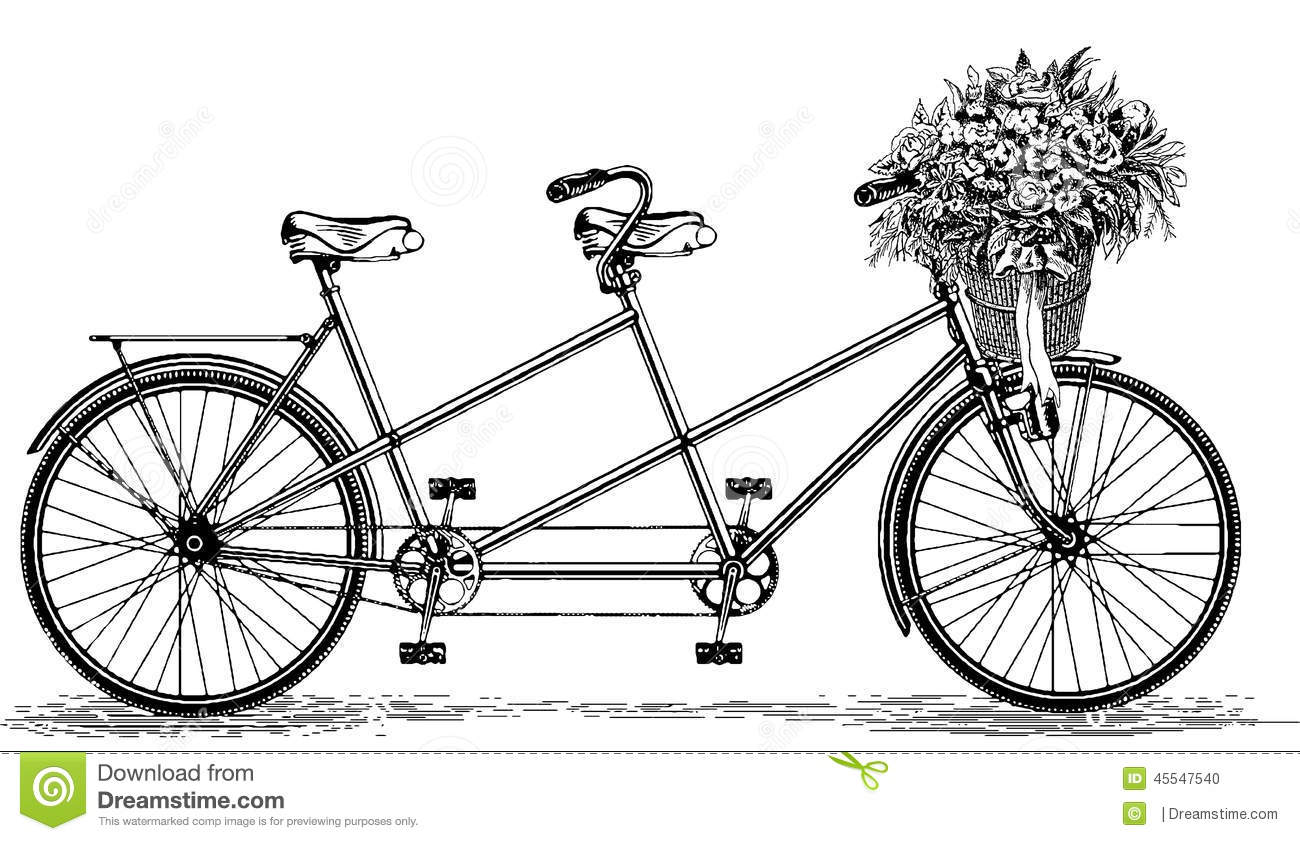 Stock Photo  Vintage Illustration Tandem Bicycle Bike Cycle  Image