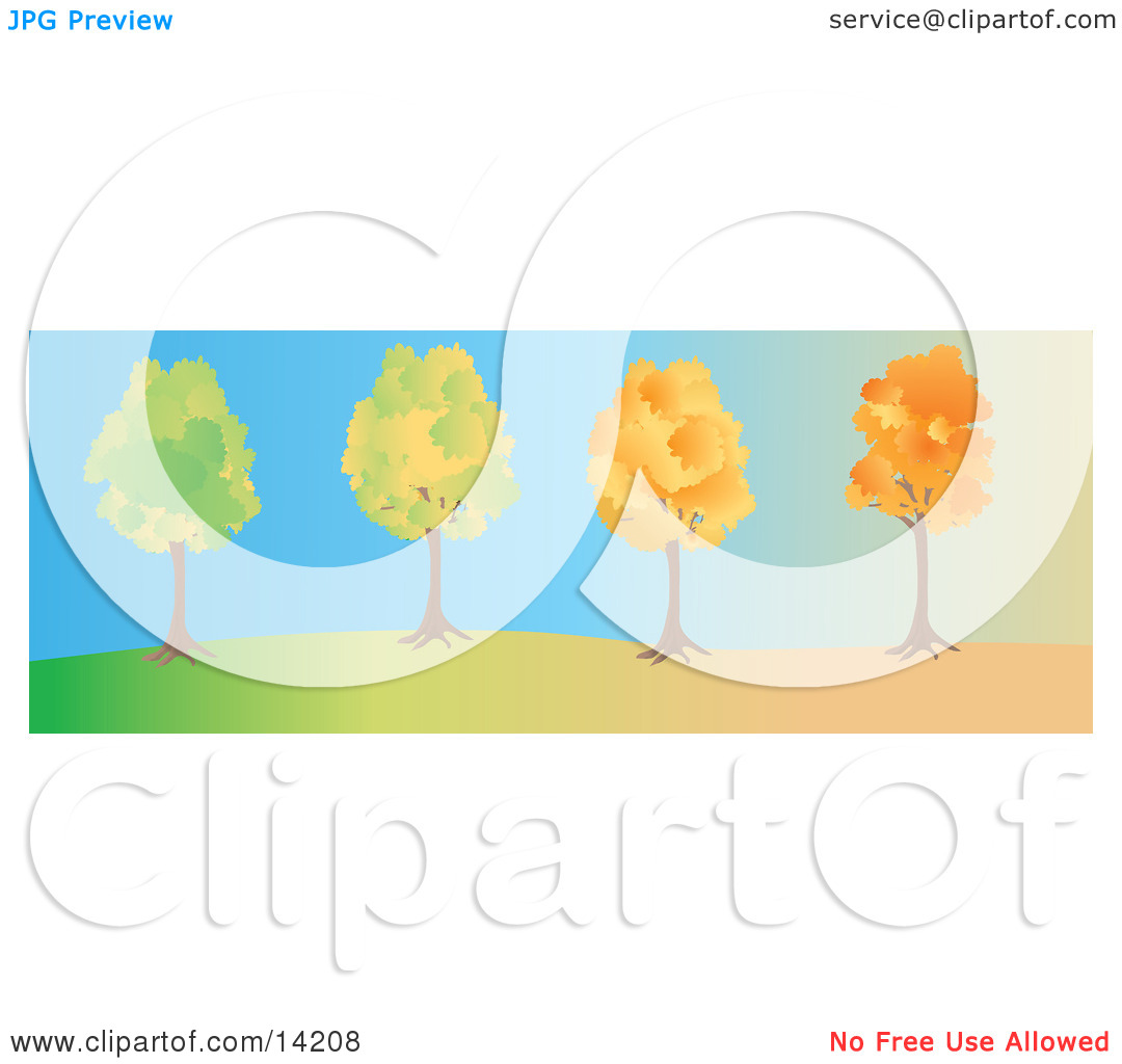 The Same Tree Changing From Summer To Fall With Autumn Foliage Clipart