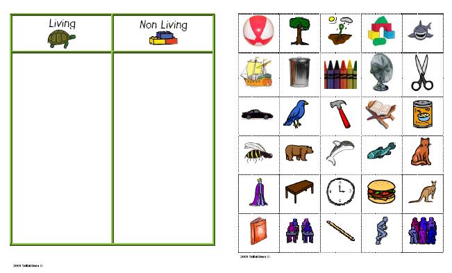 Living Things And Non Living Things  Exercise