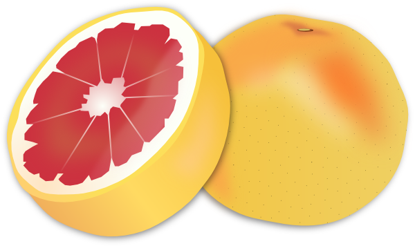 Grapefruit Clip Art At Clker Com   Vector Clip Art Online Royalty