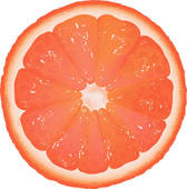 Grapefruit Clipart And Illustrations