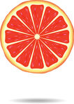 Grapefruit Clipart   Clipart Panda   Free Clipart Images