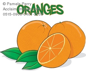 Clip Art Illustration Of Oranges   Acclaim Stock Photography