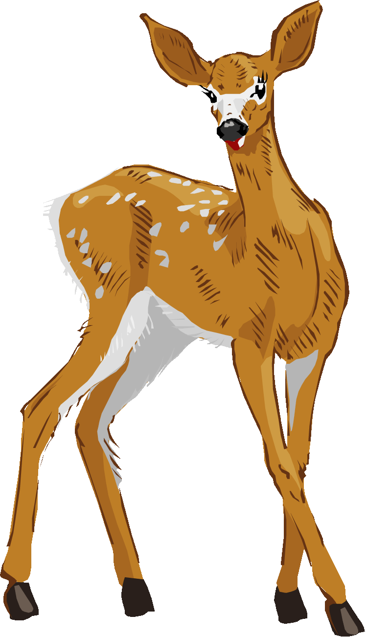 Deer Clipart Deer Clipart