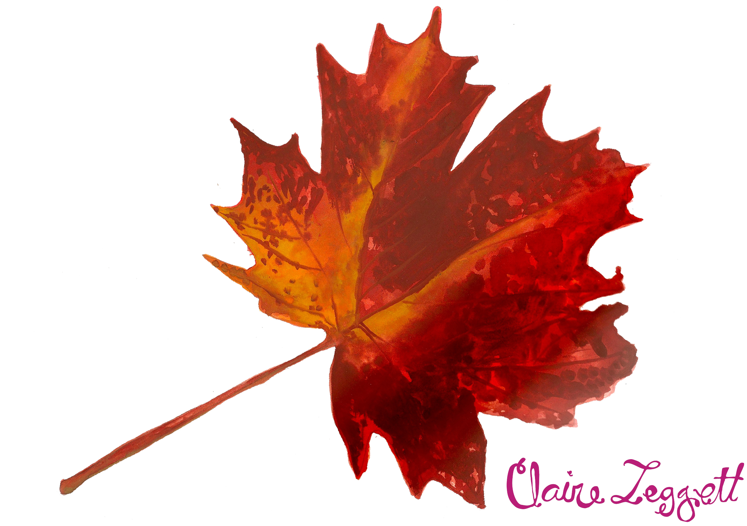 Displaying 17  Images For   Red Fall Leaf
