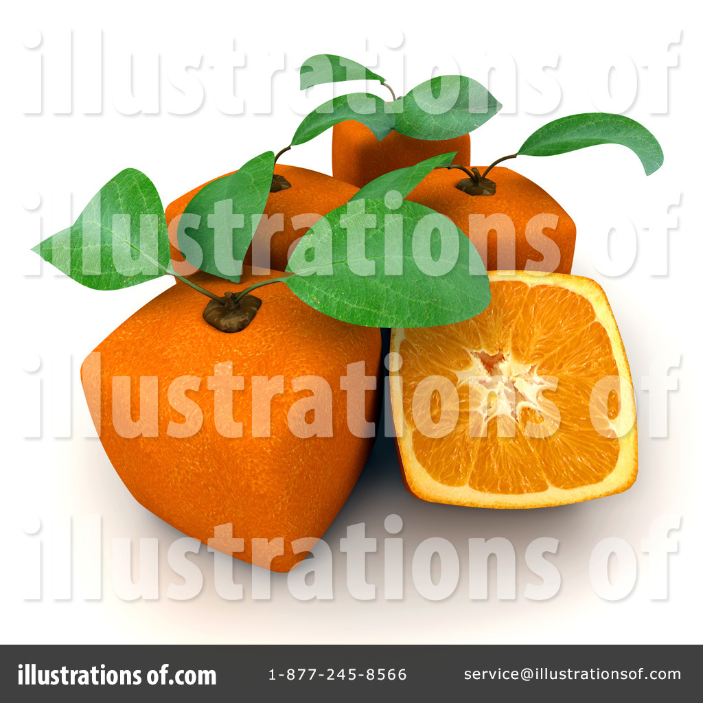 Royalty Free  Rf  Oranges Clipart Illustration  79054 By Franck Boston