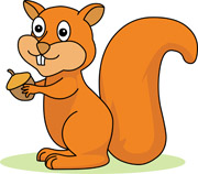 Squirrel Clipart And Graphics